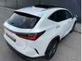 LEXUS NX 2022/9 - 11