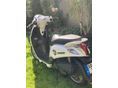 YAMAHA DELIGHT 2014/4 - 5
