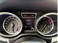 MERCEDES-BENZ ML 250 2013/4 - 19