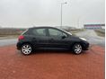 PEUGEOT 207 2009/10 - 3