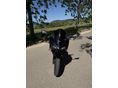 KAWASAKI NINJA 500 2024/10 - 3