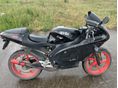 APRILIA RS 50 2004/10 - 6