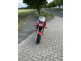 SUZUKI GSF 600 S (BANDIT) 1999/7 - 5