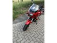 SUZUKI GSF 600 S (BANDIT) 1999/7 - 6
