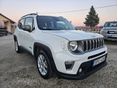 JEEP RENEGADE 2021/3 - 3