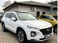 HYUNDAI SANTA FE 2019/1 - 4