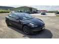 TESLA MODEL 3 2019/8 - 2