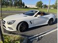MERCEDES-BENZ SL 500 2015/6 - 6