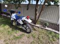 SUZUKI DR 350 S 1986/4 - 5