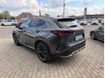 LEXUS NX 2022/2 - 4