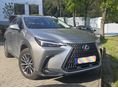 LEXUS NX 2024/6 - 1