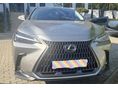 LEXUS NX 2024/6 - 2