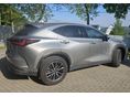 LEXUS NX 2024/6 - 4