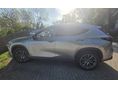 LEXUS NX 2024/6 - 5