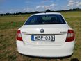 SKODA RAPID 2014/4 - 4