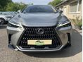 LEXUS NX 2023/5 - 5