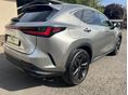 LEXUS NX 2023/5 - 3