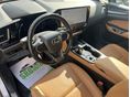 LEXUS NX 2023/5 - 6