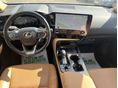 LEXUS NX 2023/5 - 7