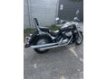 SUZUKI VL 800 (INTRUDER) 2007/7 - 3