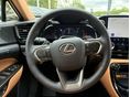 LEXUS NX 2025/9 - 10