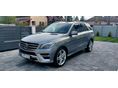 MERCEDES-BENZ ML 250 2014/4 - 1