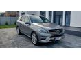 MERCEDES-BENZ ML 250 2014/4 - 2