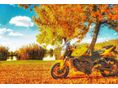 YAMAHA FZ1 