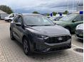 FORD KUGA 2026 - 2