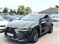 LEXUS NX 2024/1 - 2