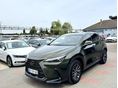 LEXUS NX 2024/1 - 4