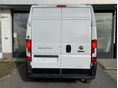 FIAT DUCATO 2025/12 - 4