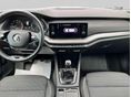 SKODA OCTAVIA 2022/2 - 12