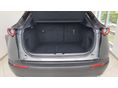 MAZDA CX-30 2020/6 - 10