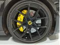 LOTUS EMEYA 2024 - 17