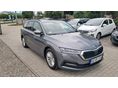 SKODA OCTAVIA 2023/7 - 2