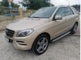 MERCEDES-BENZ ML 250 2013/3 - 3