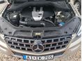 MERCEDES-BENZ ML 250 2013/3 - 12