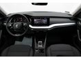 SKODA OCTAVIA 2024/9 - 8