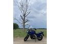 SUZUKI DL 650 2004 - 4