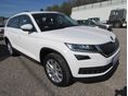 SKODA KODIAQ 2021/3 - 1