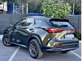 LEXUS NX 2023/10 - 5