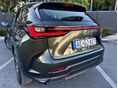 LEXUS NX 2023/10 - 7