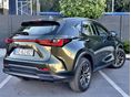 LEXUS NX 2023/10 - 8