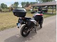 DUCATI MULTISTRADA V4 RALLY 2024/8 - 6