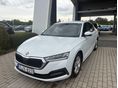 SKODA OCTAVIA 2020/11 - 3