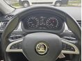 SKODA RAPID 2015/3 - 13