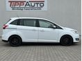 FORD C-MAX 2015/6 - 16