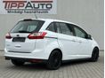 FORD C-MAX 2015/6 - 17