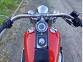 HARLEY-DAVIDSON SOFTAIL 2010/7 - 6
